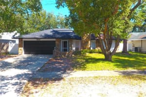 5533 Pentail Cir, TAMPA