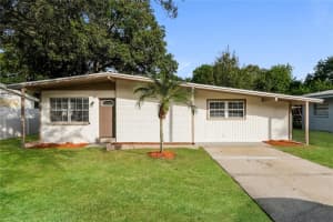 4109 W Bay Ave, TAMPA