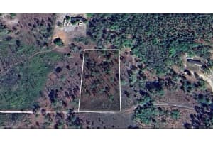 156 Pl, DUNNELLON