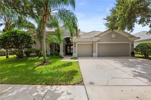 10209 Waterside Oaks Dr, TAMPA