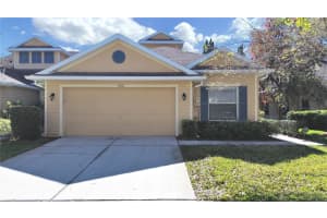 8906 Iron Oak Ave, TAMPA