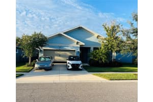 5721 Silver Sun Dr, APOLLO BEACH
