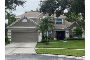 12901 Greenville Ct, TAMPA 12901 Greenville Ct, TAMPA