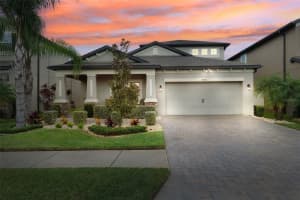 19433 Redwood Point Dr, TAMPA
