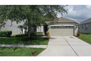 30547 Casewell Pl, WESLEY CHAPEL
