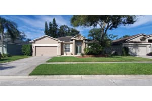 12922 Lake Ventana Dr, TAMPA