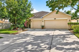 10859 Breaking Rocks Dr, TAMPA