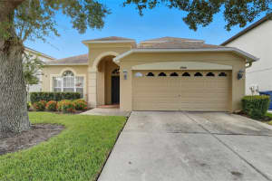 17914 Ayrshire Blvd, LAND O LAKES