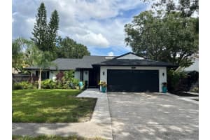 15005 Sunglow Ct, TAMPA