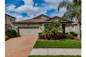 1763 Nature View Dr, LUTZ