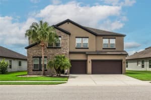 4915 Butler National Dr, WESLEY CHAPEL