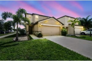 7423 French Marigold Ave, TAMPA 7423 French Marigold Ave, TAMPA