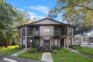 4004 Dream Oak Pl #203, TAMPA