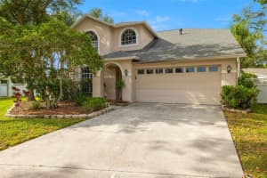 9205 Celebration Ct, TAMPA