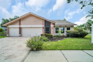 11901 Steppingstone Blvd, TAMPA