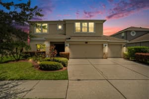 10737 Breaking Rocks Dr, TAMPA