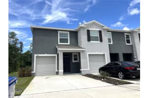 32817 Pez Landing Ln, WESLEY CHAPEL 32817 Pez Landing Ln, WESLEY CHAPEL