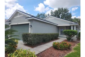 11752 Crest Creek Dr, RIVERVIEW