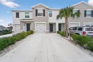 3504 White Dandelion Ct, PLANT CITY