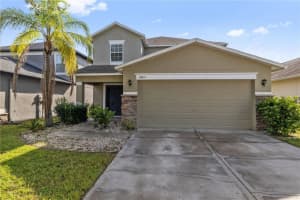 18055 Glastonbury Ln, LAND O LAKES