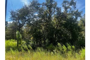 0 Crider Rd, WEEKI WACHEE