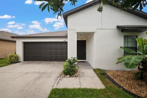 10118 Carloway Hills Dr, WIMAUMA