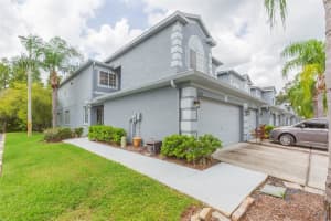18102 Nassau Point Dr, TAMPA