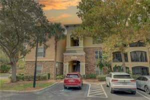 2407 Courtney Meadows Ct #103, TAMPA