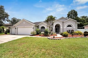 2216 Glen Mist Dr, VALRICO