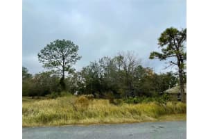 Lot 16 Golden Warbler Rd, WEEKI WACHEE