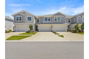 17228 Balance Cv, LAND O LAKES 17228 Balance Cv, LAND O LAKES