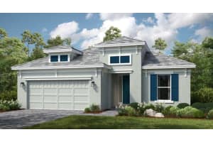 3897 Figliolia Way, WESLEY CHAPEL