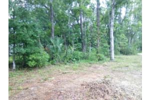 0 Salinas Avenue New Port Richey, Fl 34654 Ave, NEW PORT RICHEY