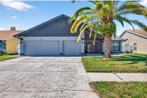 12025 Steppingstone Blvd, TAMPA