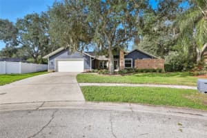 5201 Ives Ct, TAMPA