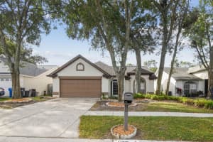 1129 Bloom Hill Ave, VALRICO