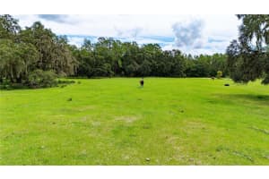 Pinkston Rd, DADE CITY