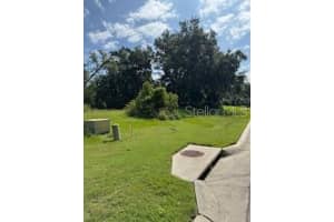 29523 Chapel Park Dr, WESLEY CHAPEL