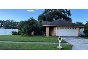 4507 Twin Crest Way, TAMPA