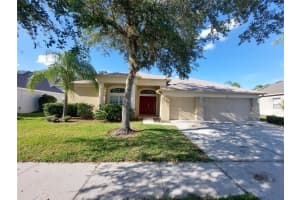 5610 Spectacular Bid Dr, WESLEY CHAPEL