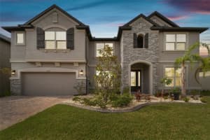 19316 Eagle Creek Ln, TAMPA