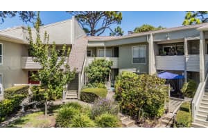 503 Windrush Bay Dr, TARPON SPRINGS