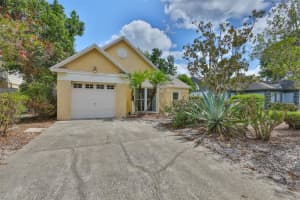 1006 Pleasant Pine Ct, VALRICO