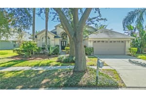 16517 Lake Heather Dr, TAMPA
