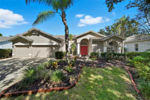 9305 Wellington Park Cir, TAMPA