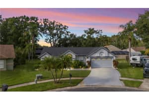 15101 Bald Eagle St, TAMPA