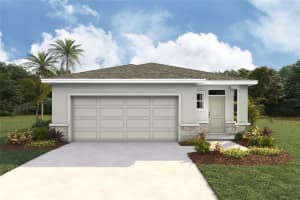 6699 Broad River Ave, LAND O LAKES