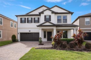 19421 Paddock View Dr, TAMPA