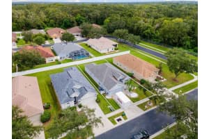 1005 Crystal Carbon Way, VALRICO