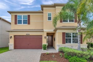 32203 Mahogany Valley Dr, WESLEY CHAPEL
